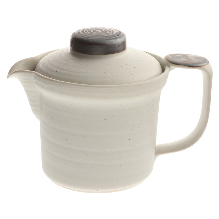 Tea Pot, Hirokuchi Salt/Spray 16OZ